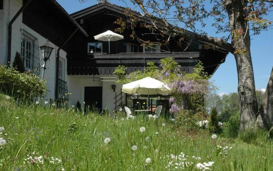 Ferienhaus Nest ブライハッハ エクステリア 写真